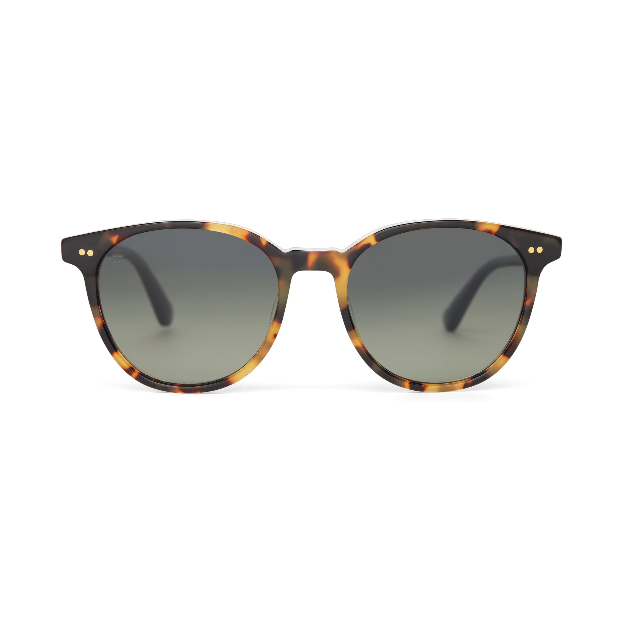 Bellini Tortoise Spruce Polarized Handcrafted Sunglasses Front View